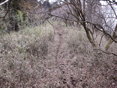 20190214hike (80)